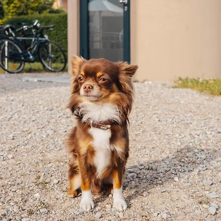 Slube Am Krakower * كراكو آم زيه